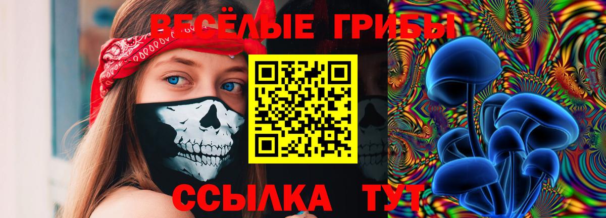 Псилоцибиновые грибы Cubensis Сибай