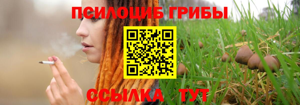Сибай  Псилоцибиновые грибы Cubensis  Вход с VPN  Галлюциногенные грибы прущие грибы 